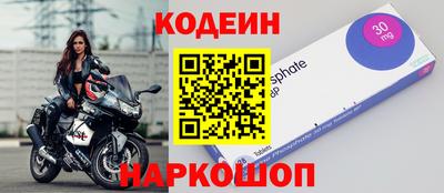 крисы Краснодар