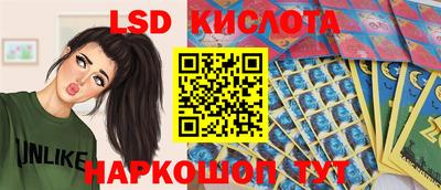 крисы Краснодар