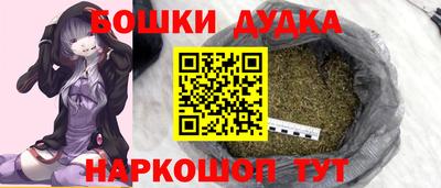 крисы Краснодар