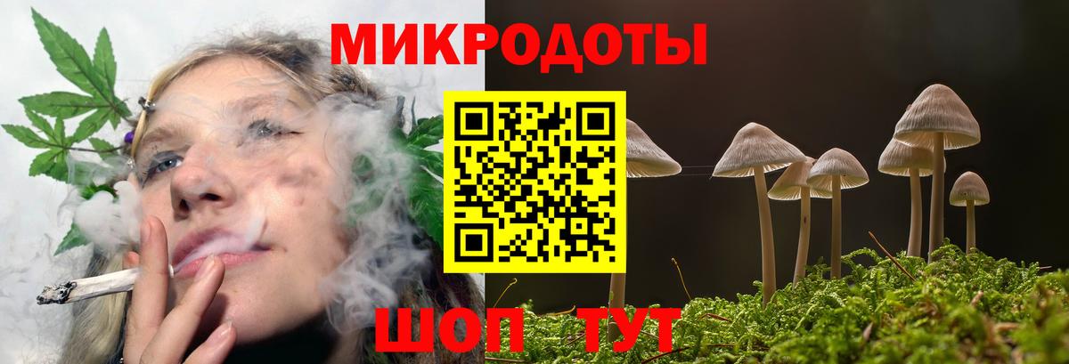 Псилоцибиновые грибы мицелий Усть-Илимск